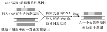 德优题库