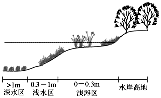 德优题库