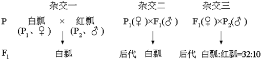 德优题库