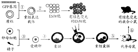 德优题库