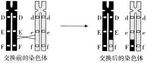 德优题库