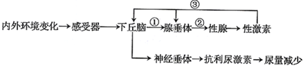 德优题库