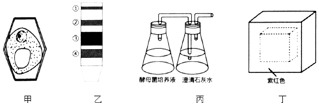 德优题库