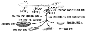 德优题库