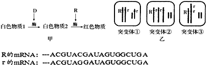 德优题库