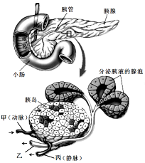 德优题库