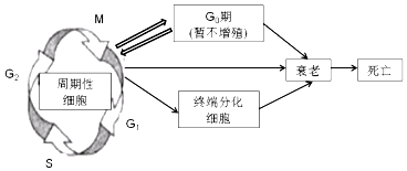 德优题库