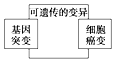 德优题库