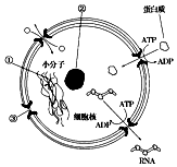 德优题库