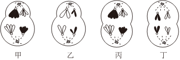 德优题库