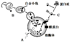 德优题库
