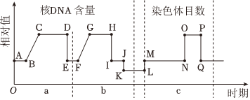 德优题库