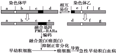 德优题库