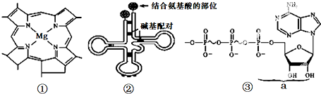 德优题库