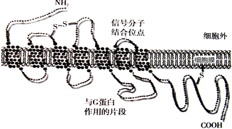 德优题库