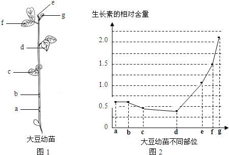 德优题库