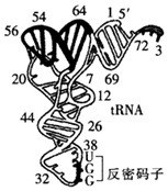 德优题库