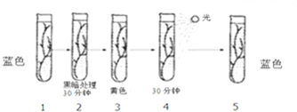 德优题库