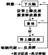 德优题库
