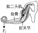 德优题库