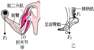 德优题库