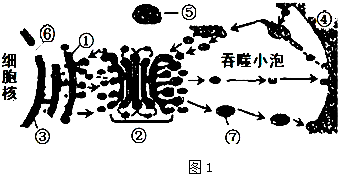 德优题库