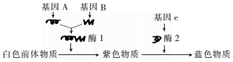德优题库