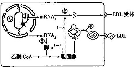 德优题库