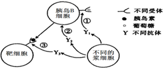 德优题库