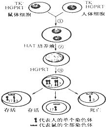 德优题库