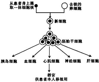 德优题库
