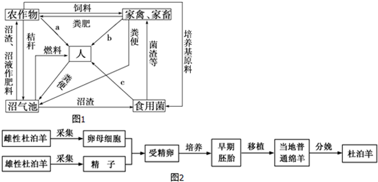 德优题库