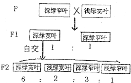 德优题库