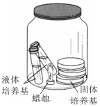 德优题库