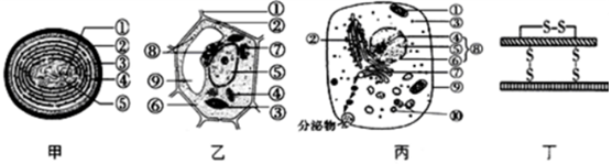 德优题库