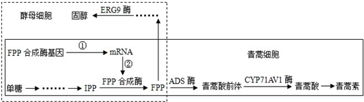 德优题库
