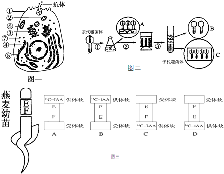 德优题库
