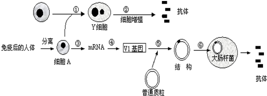 德优题库