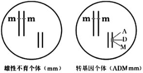 德优题库