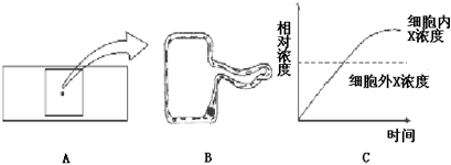 德优题库