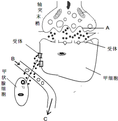 德优题库
