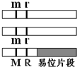 德优题库