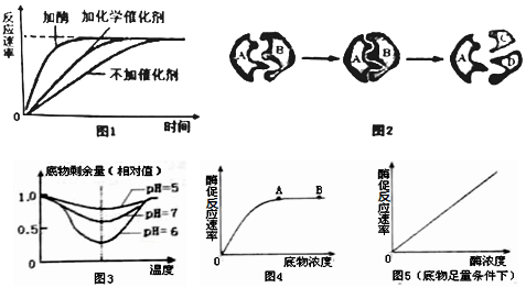 德优题库