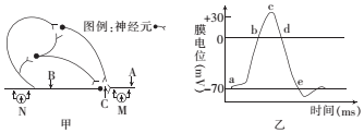 德优题库