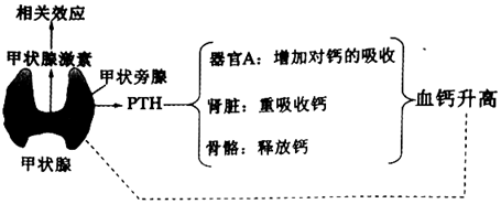 德优题库