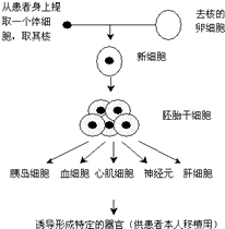 德优题库