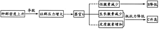 德优题库