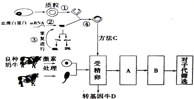 德优题库