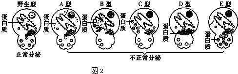 德优题库