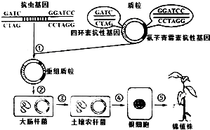 德优题库